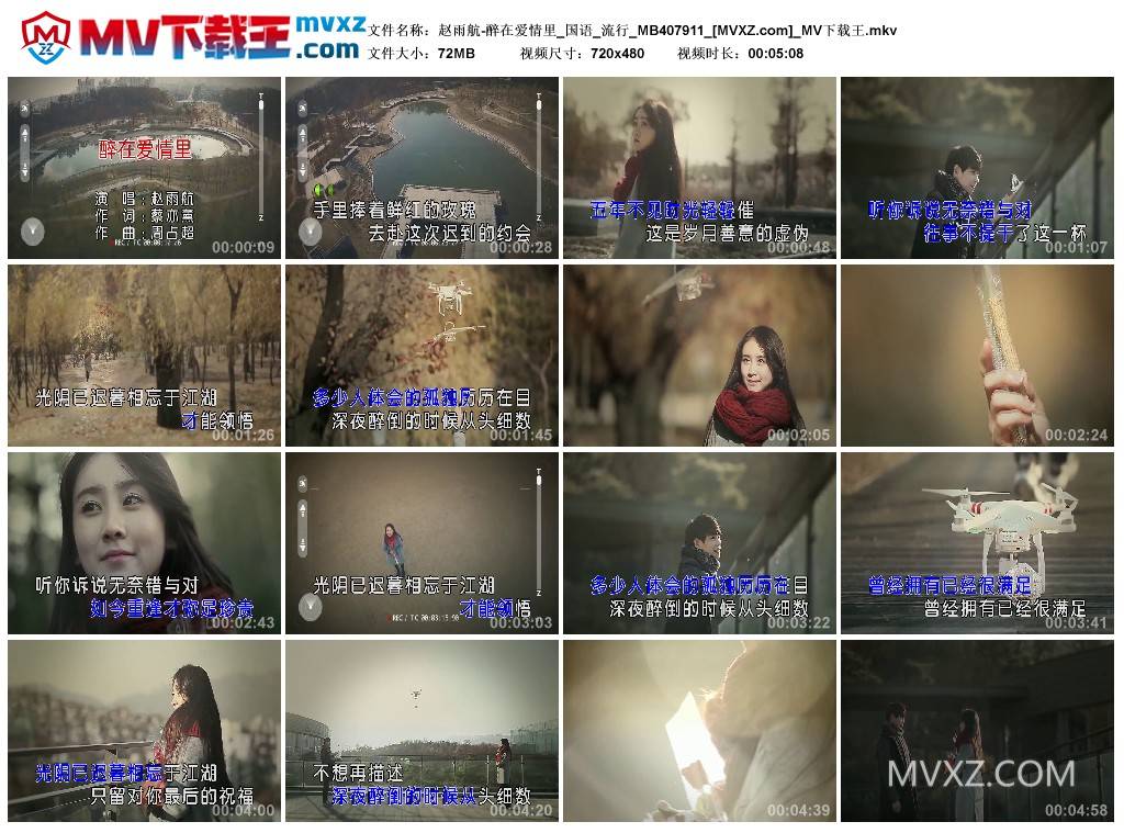 赵雨航-醉在爱情里_国语_流行_MB407911